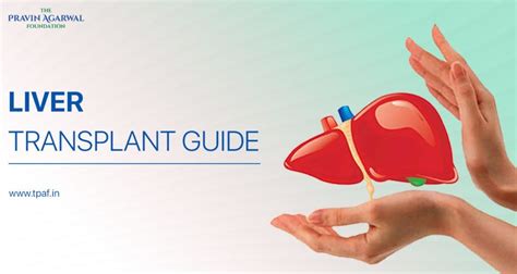 liver transplant services near roseville